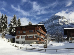 Eiger Nest Apartment